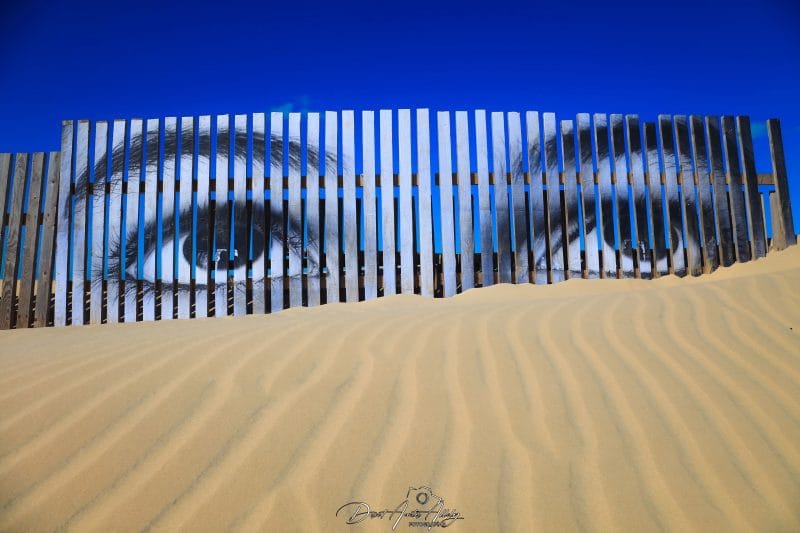 Ojos sobre la duna de Cortadura, Cádiz, Spain