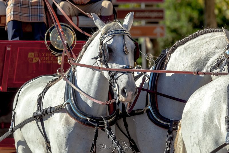 Vuelta ciclista a España, 2014