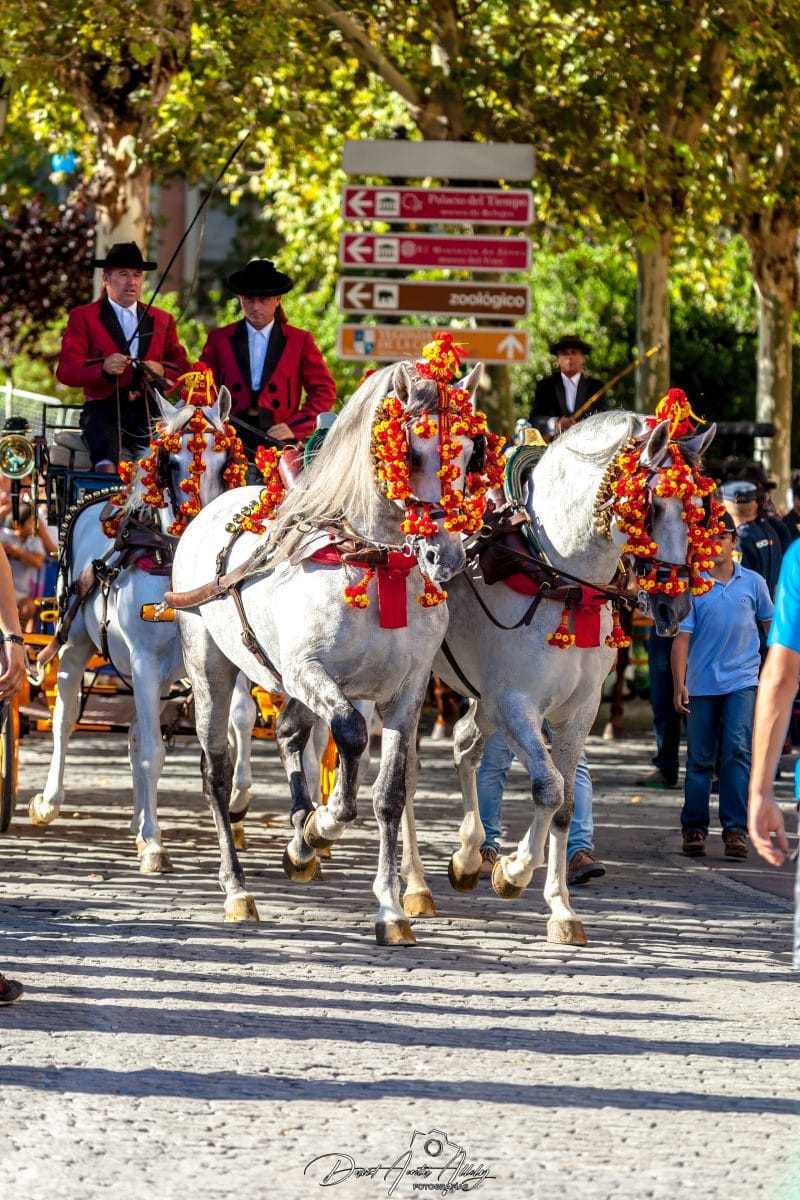 Vuelta ciclista a España, 2014