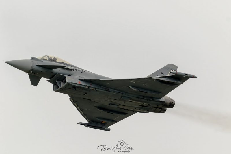 XII Festival Aéreo de Motril , 2017