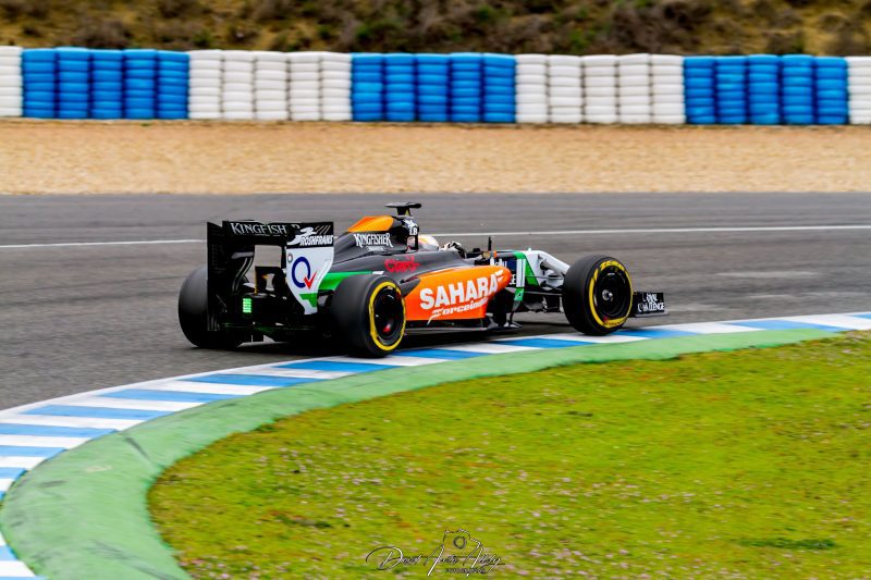 Test de Formula 1 Circuito de Jerez, 2014