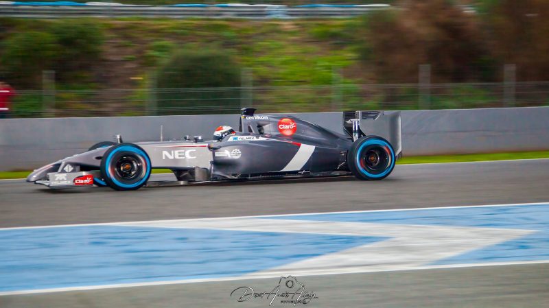 Test de Formula 1 Circuito de Jerez, 2014