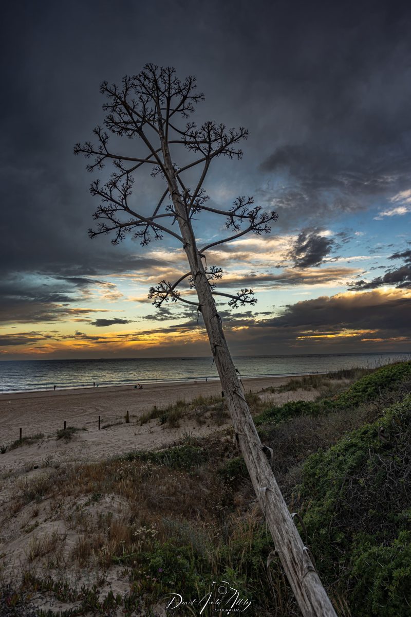 Provincia de Cádiz