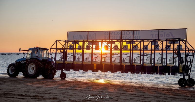Carreras de caballos de Sanlúcar, 2014