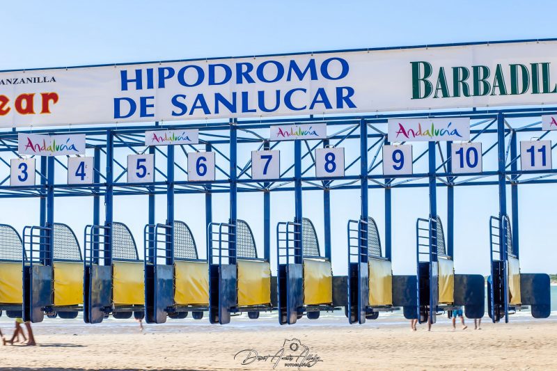 Carreras de caballos de Sanlúcar, 2014