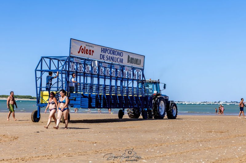 Carreras de caballos de Sanlúcar, 2014