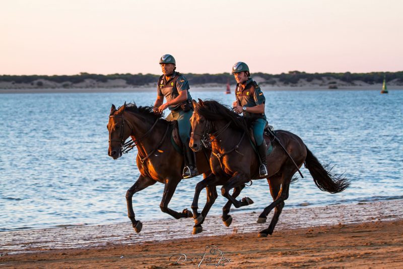 Carreras de caballos de Sanlúcar, 2014