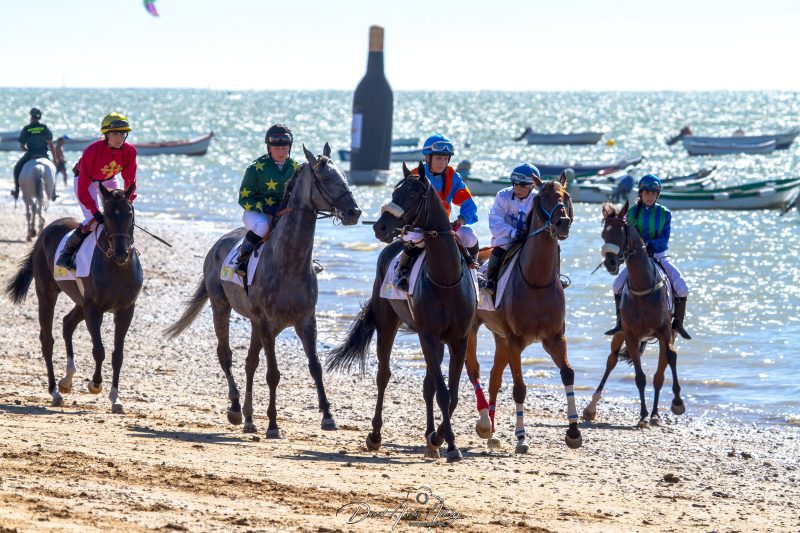 Carreras de caballos de Sanlúcar, 2014