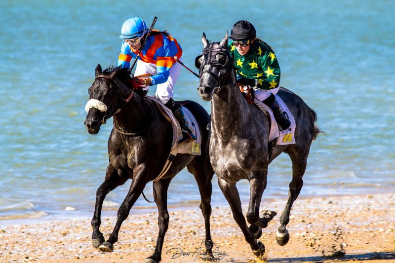 Carreras de caballos de Sanlúcar, 2014