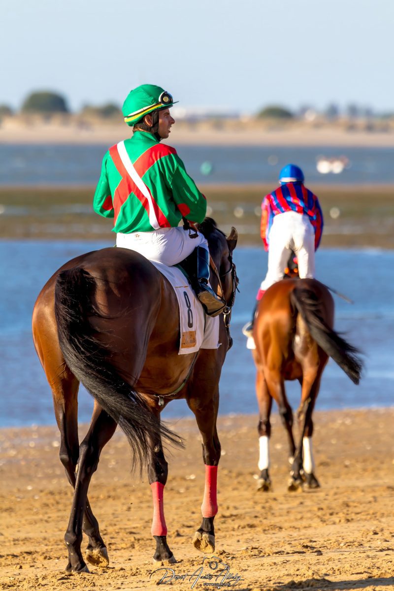 Carreras de caballos de Sanlúcar, 2014