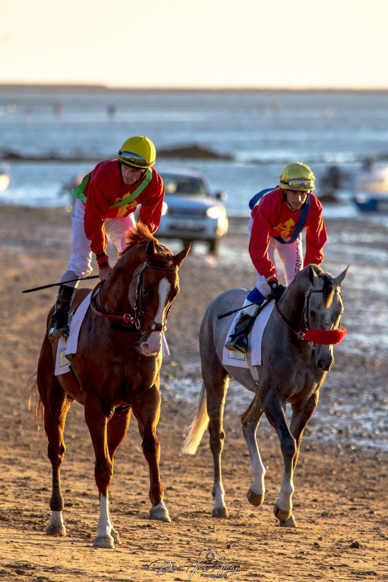 Carreras de caballos de Sanlúcar, 2014