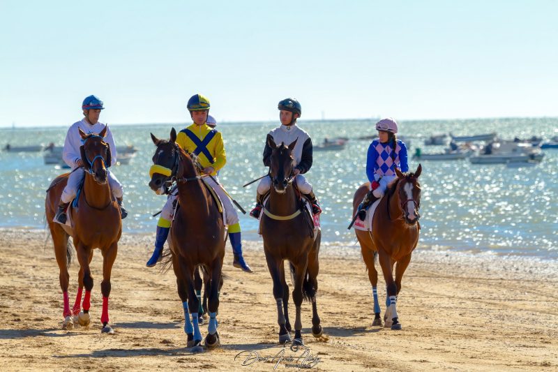 Carreras de caballos de Sanlúcar, 2014
