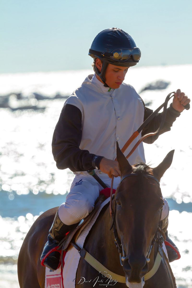 Carreras de caballos de Sanlúcar, 2014