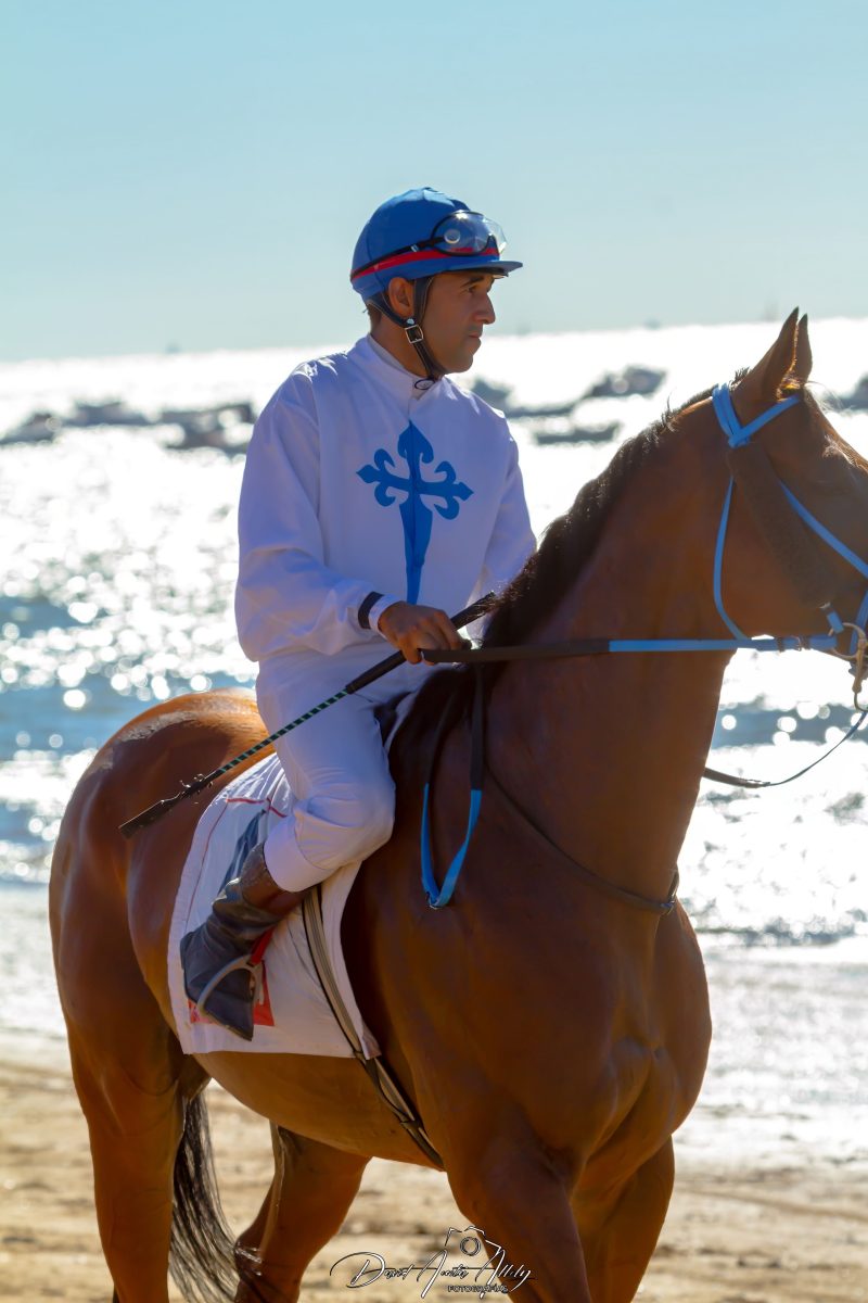Carreras de caballos de Sanlúcar, 2014