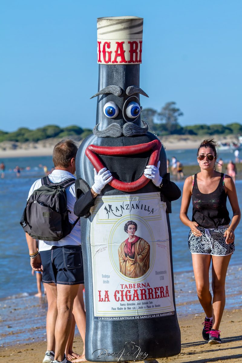 Carreras de caballos de Sanlúcar, 2014