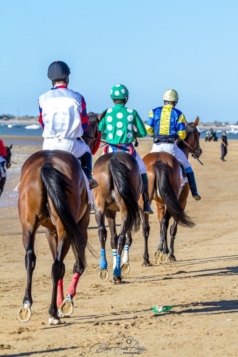 Carreras de caballos de Sanlúcar, 2014