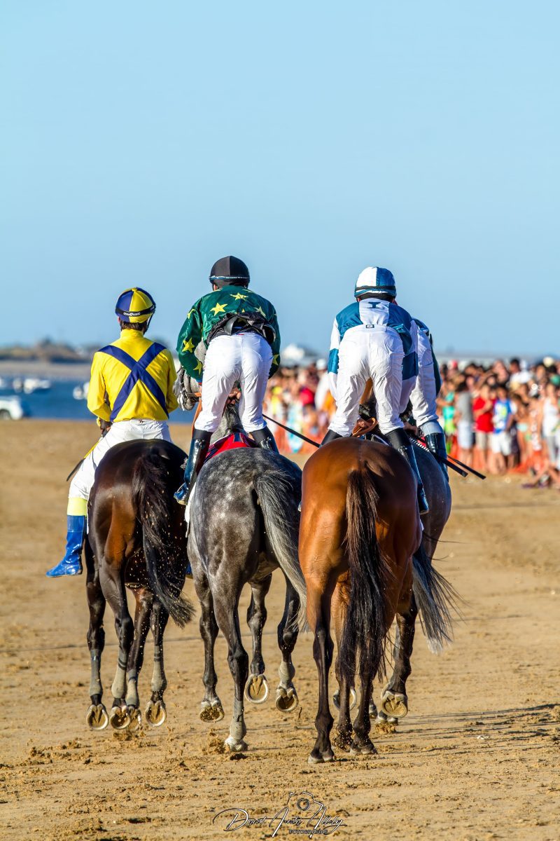 Carreras de caballos de Sanlúcar, 2014
