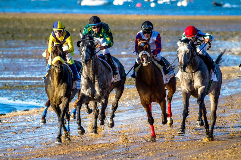 Carreras de caballos de Sanlúcar, 2014