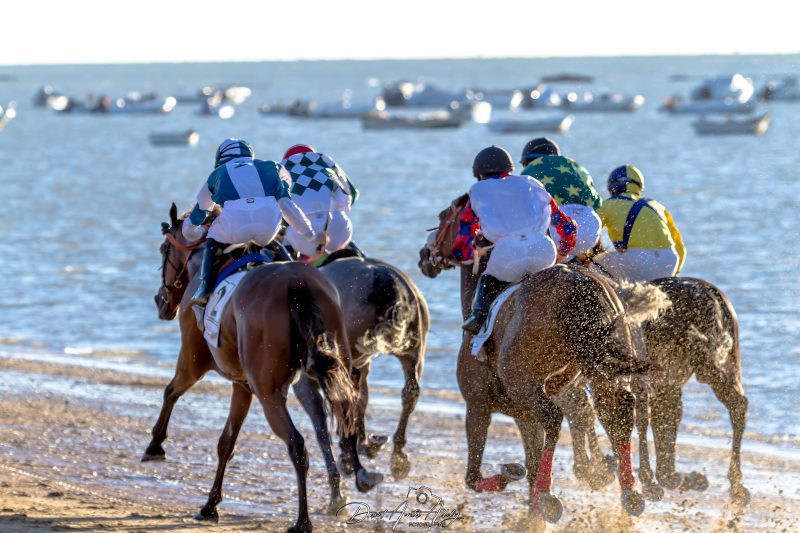 Carreras de caballos de Sanlúcar, 2014