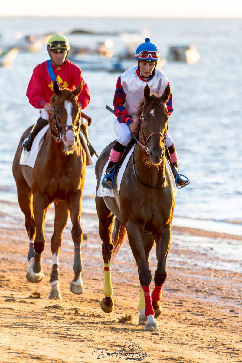 Carreras de caballos de Sanlúcar, 2014