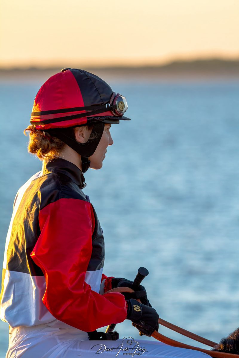 Carreras de caballos de Sanlúcar, 2014