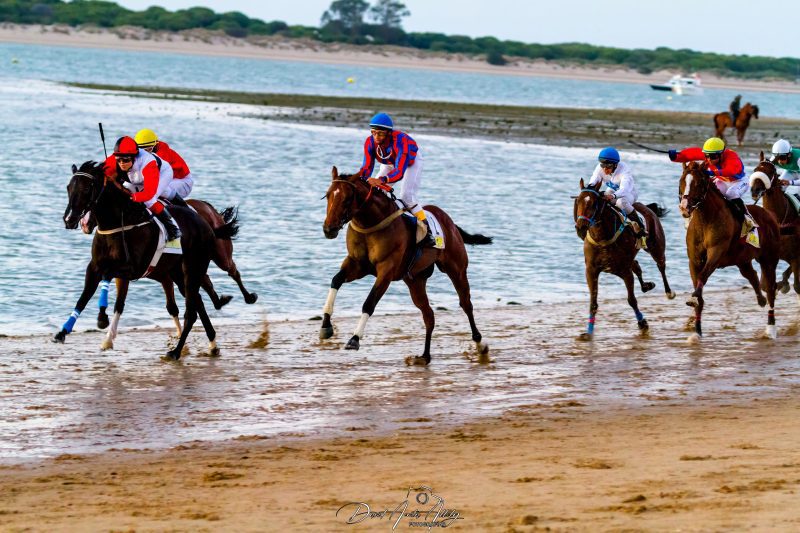 Carreras de caballos de Sanlúcar, 2014