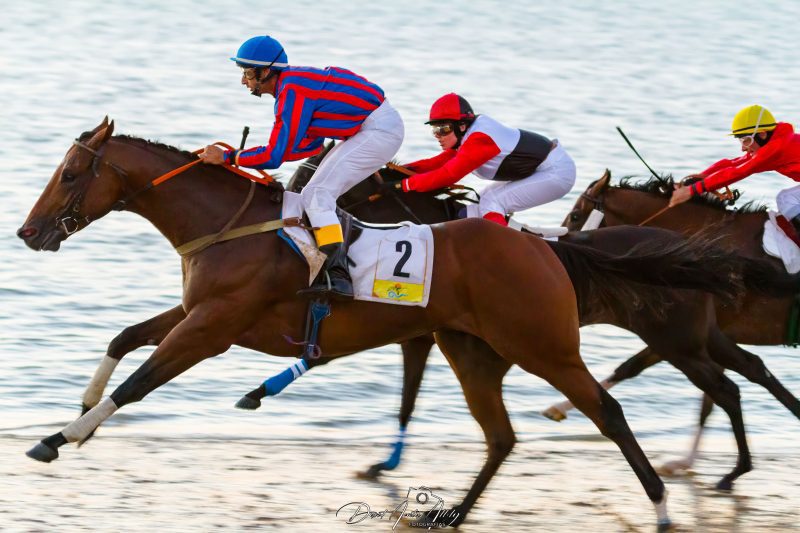 Carreras de caballos de Sanlúcar, 2014