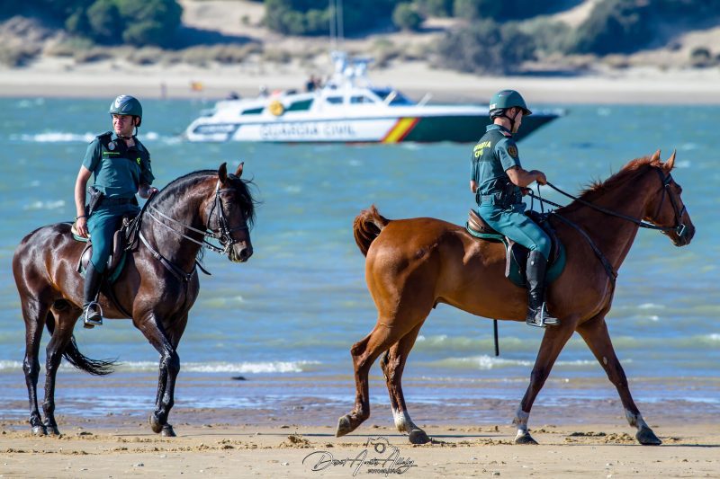 Carreras de caballos de Sanlúcar, 2014
