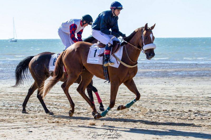 Carreras de caballos de Sanlúcar, 2014