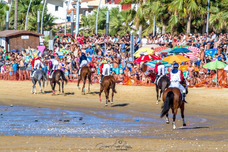Carreras de caballos de Sanlúcar, 2014