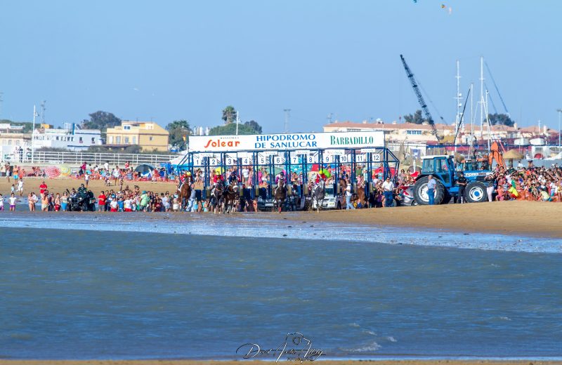 Carreras de caballos de Sanlúcar, 2014