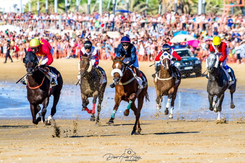 Carreras de caballos de Sanlúcar, 2014