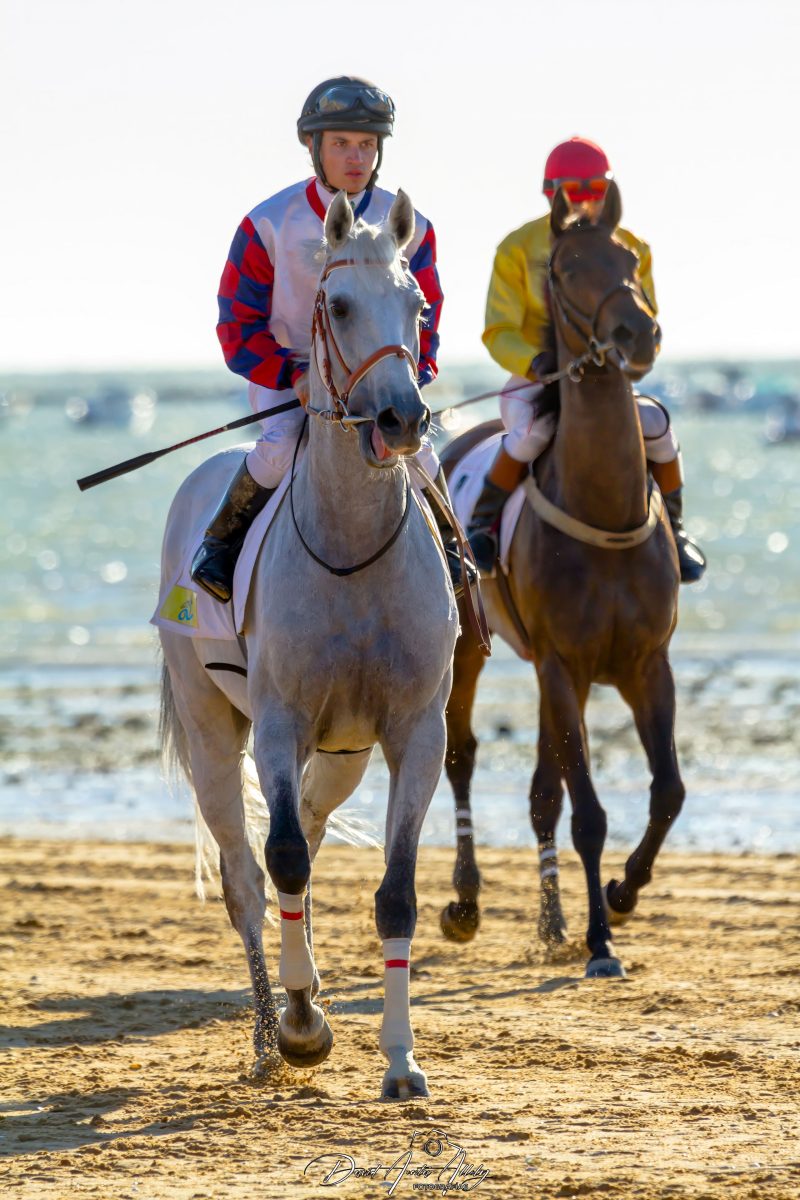 Carreras de caballos de Sanlúcar, 2014
