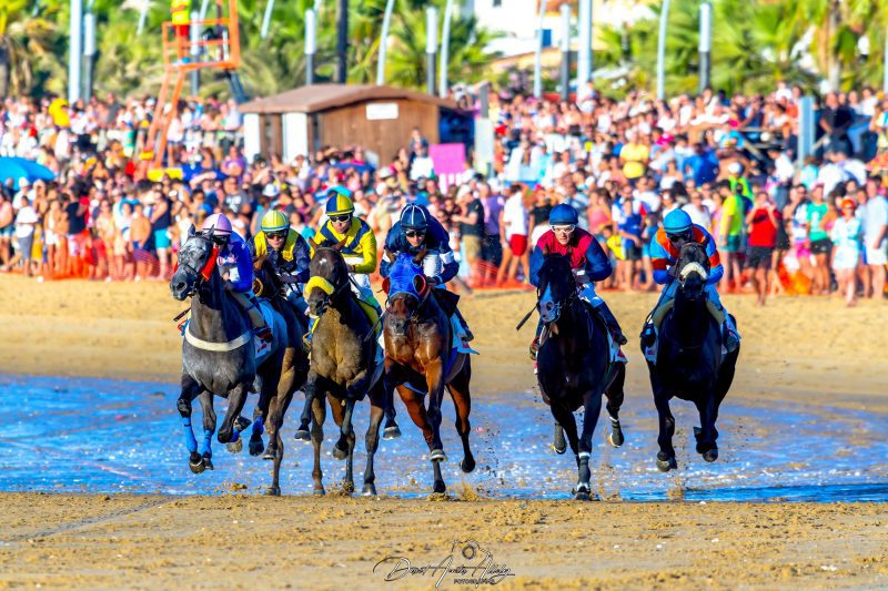 Carreras de caballos de Sanlúcar, 2014
