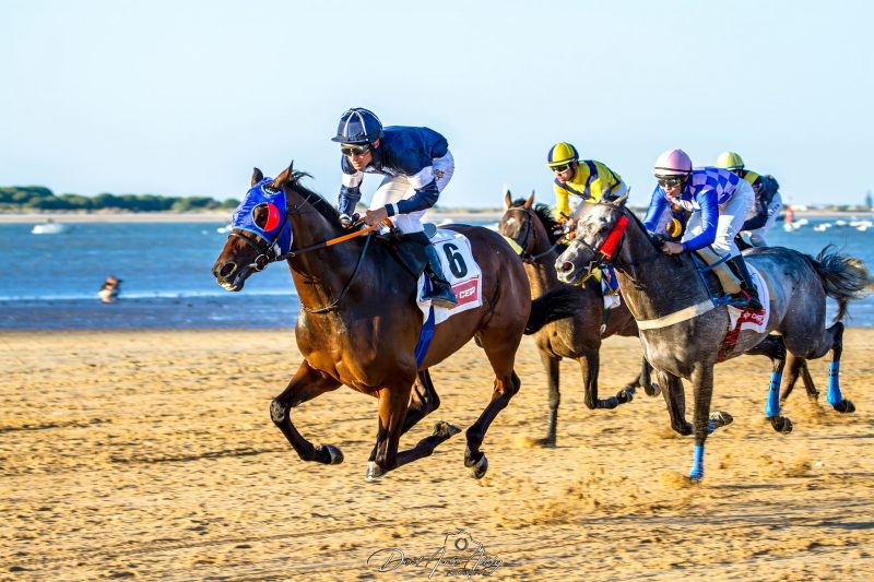 Carreras de caballos de Sanlúcar, 2014