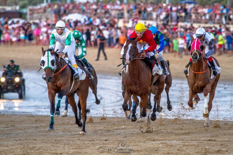 Carreras de caballos de Sanlúcar, 2014