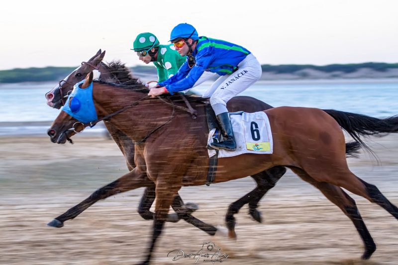 Carreras de caballos de Sanlúcar, 2014