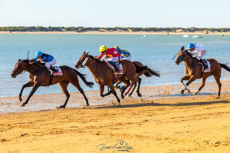 Carreras de caballos de Sanlúcar, 2014