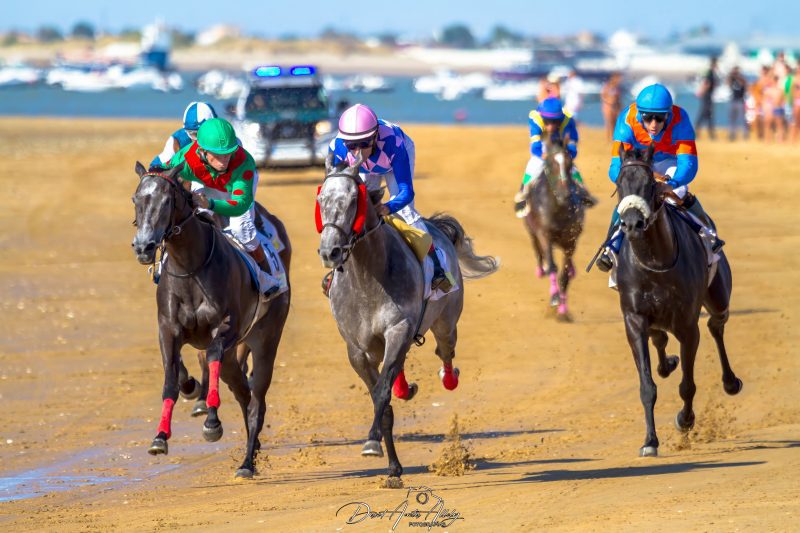 Carreras de caballos de Sanlúcar, 2014