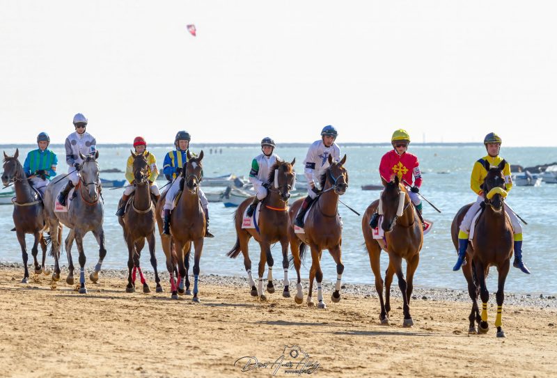 Carreras de caballos de Sanlúcar, 2014