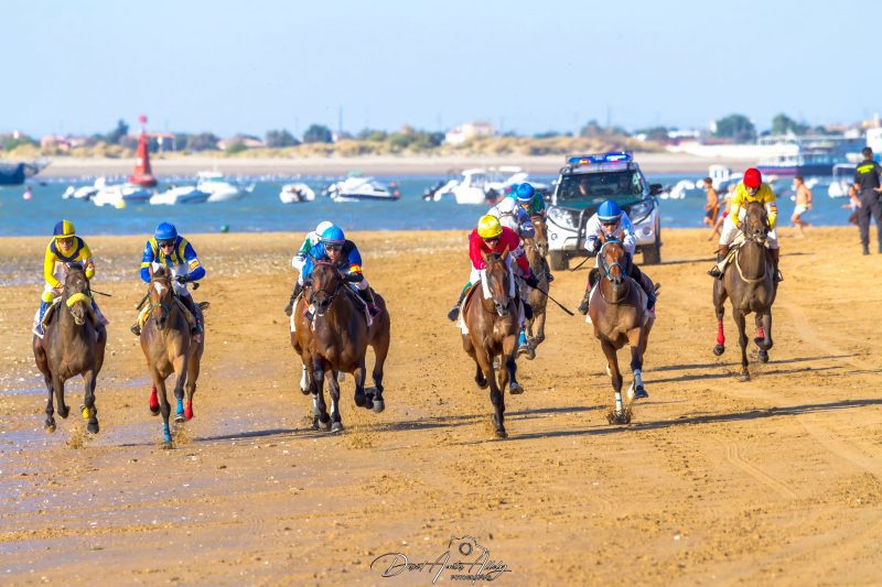Carreras de caballos de Sanlúcar, 2014