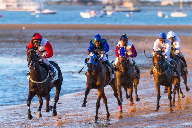 Carreras de caballos de Sanlúcar, 2014