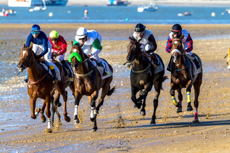 Carreras de caballos de Sanlúcar, 2014