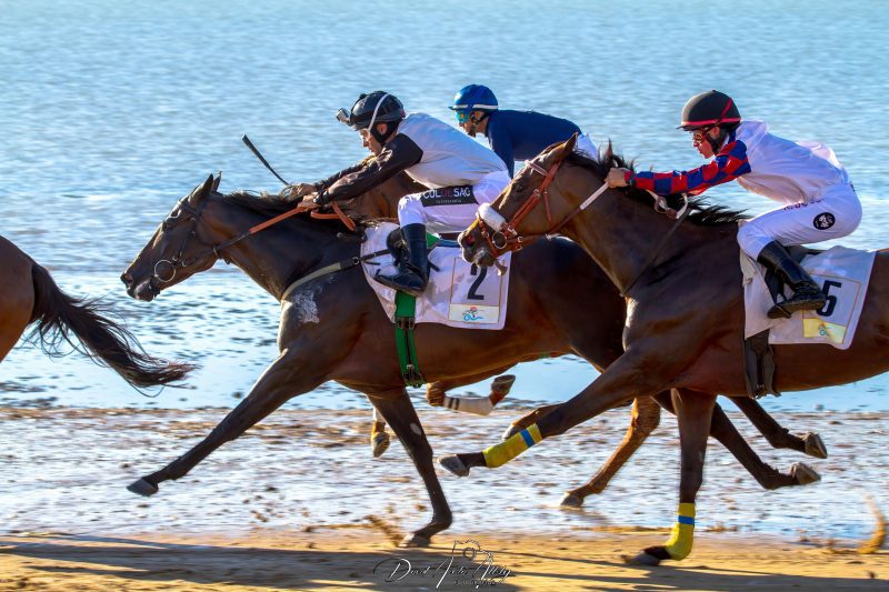 Carreras de caballos de Sanlúcar, 2014