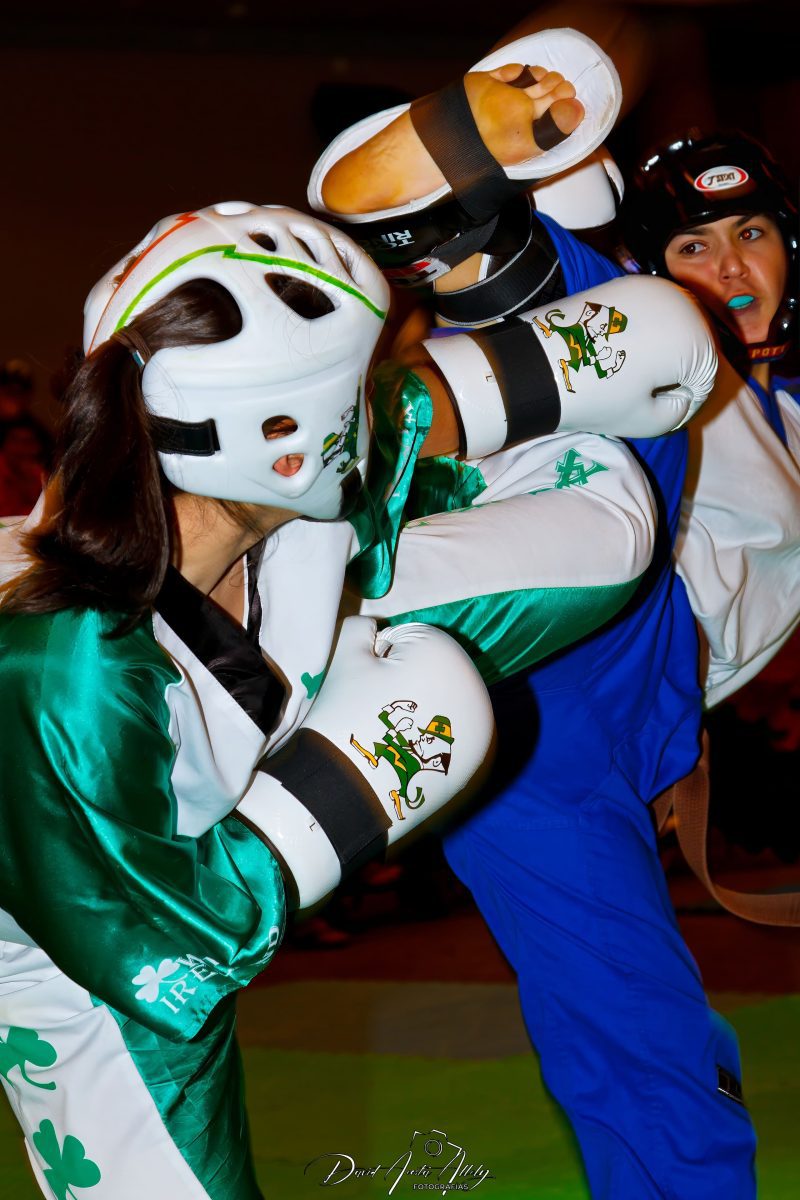 III Campeonato del mundo de Kickboxing, 2011