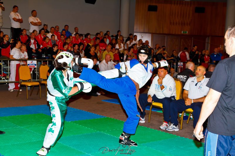 III Campeonato del mundo de Kickboxing, 2011
