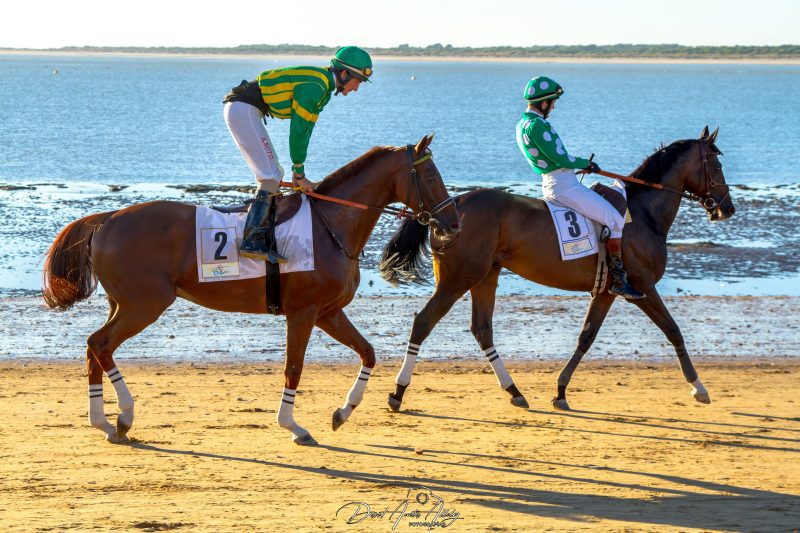 Carreras de caballos de Sanlúcar, 2014