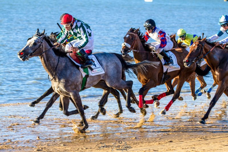 Carreras de caballos de Sanlúcar, 2014
