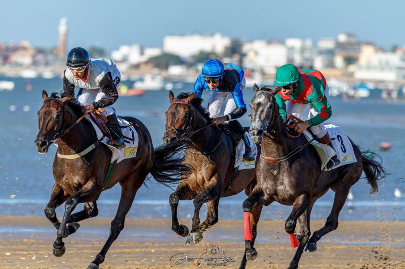 Carreras de caballos de Sanlúcar, 2014