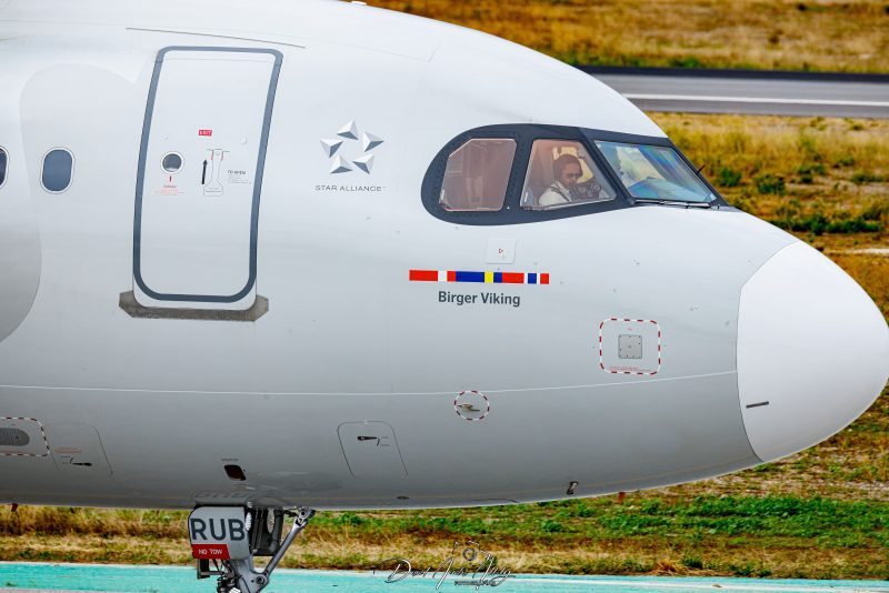 Spotting aeropuerto de Málaga, 2024